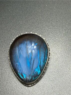 Antique Morpho Sterling silver brooch